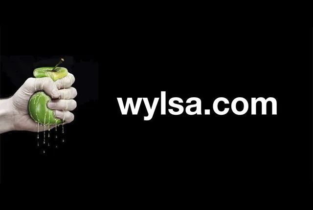 Никаких разбитых iPhone: выбирайте надёжные аксессуары